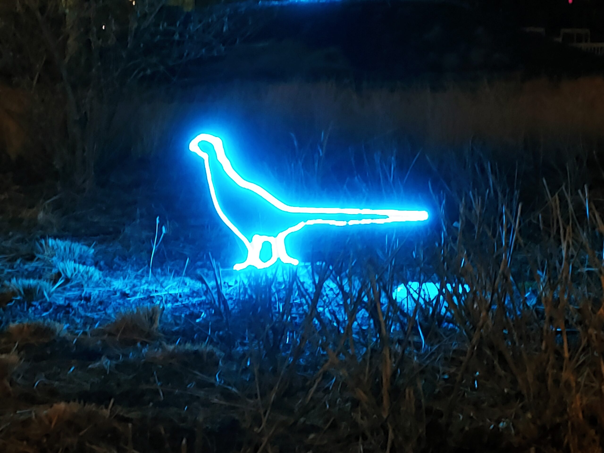 glowing blue bird